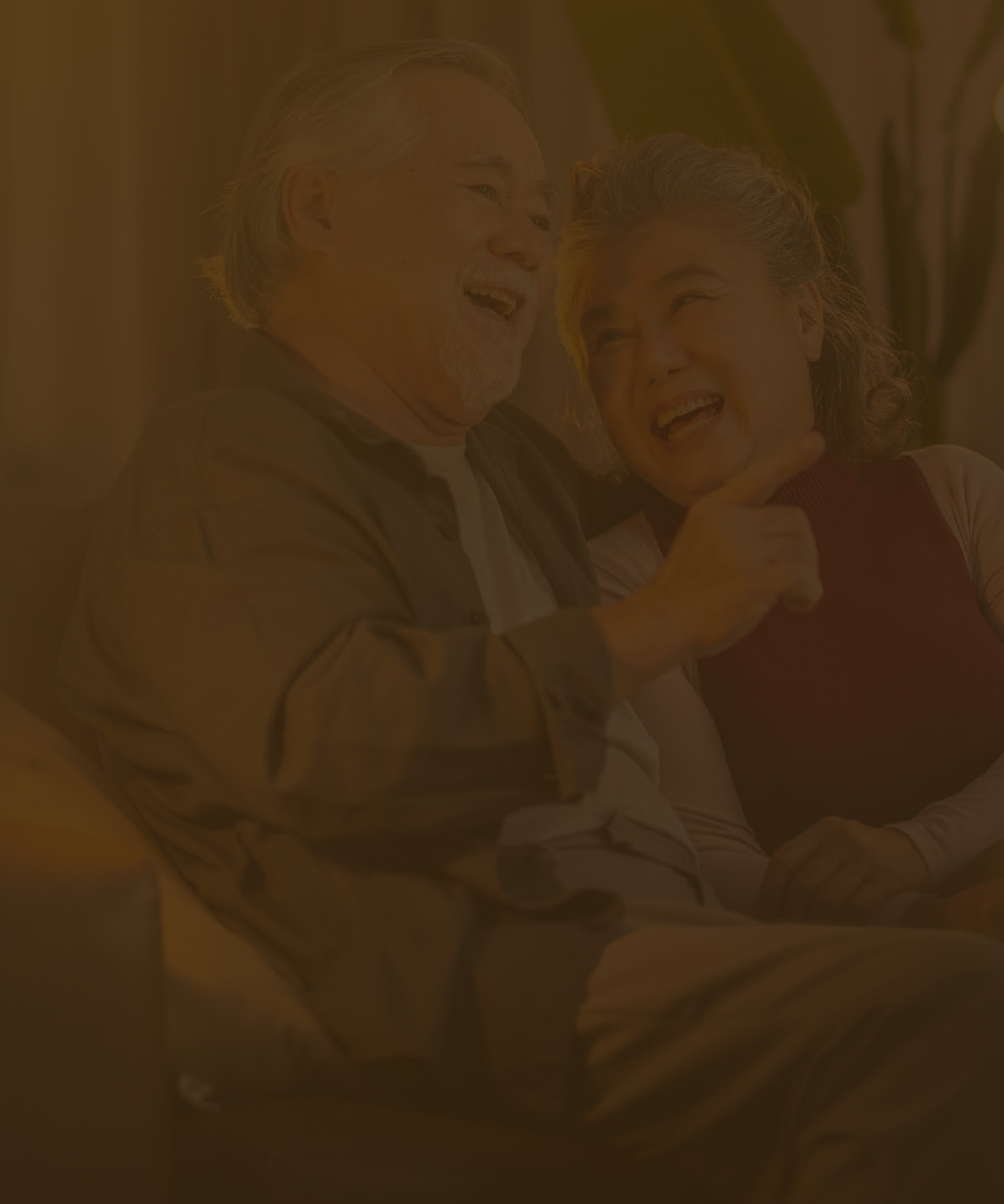 The Golden Life Details